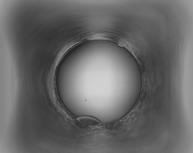 X0000113160289200909111020