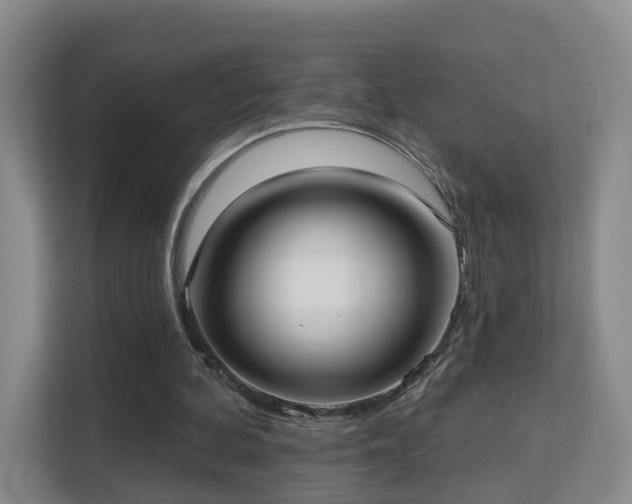 X0000113160292200909111020