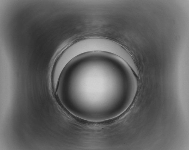 X0000113160293200909111020