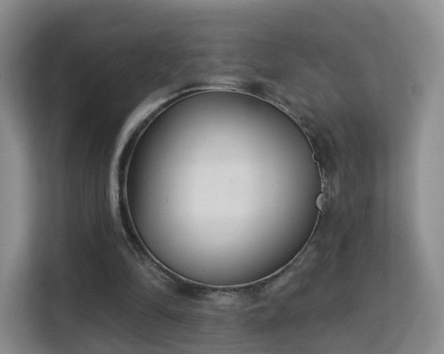 X0000113160294200909111020