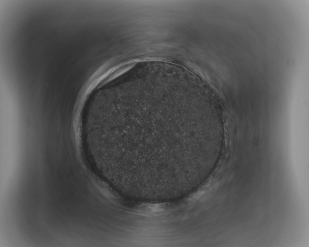 X0000113160295200909111020