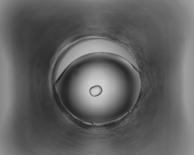 X0000113160296200909111020