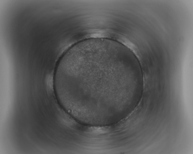 X0000113160297200909111020