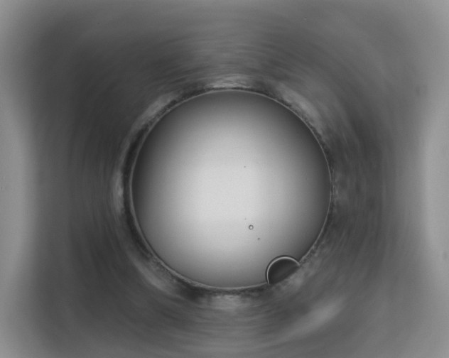 X0000113160298200909111020