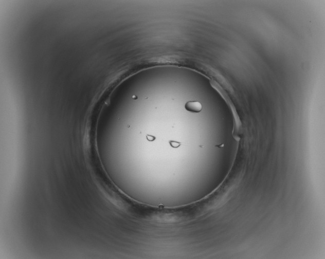 X0000113160299200909111020