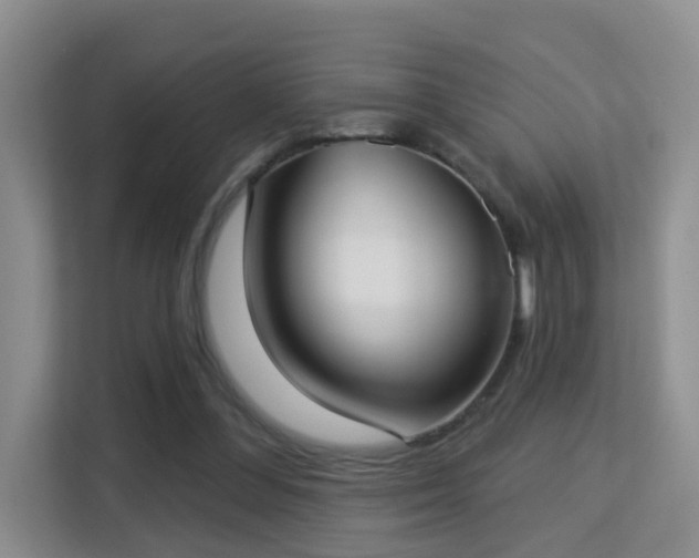 X0000113160300200909111020