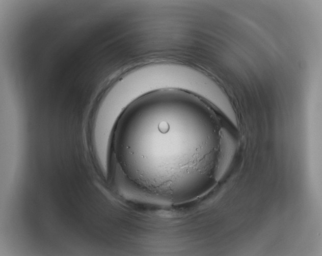 X0000113160302200909111020