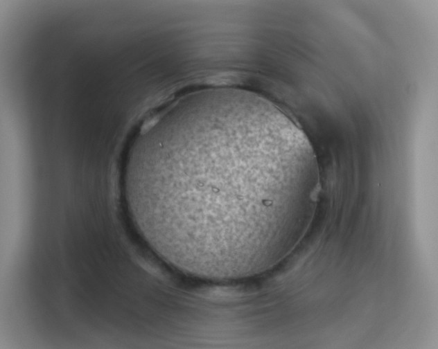 X0000113160303200909111020