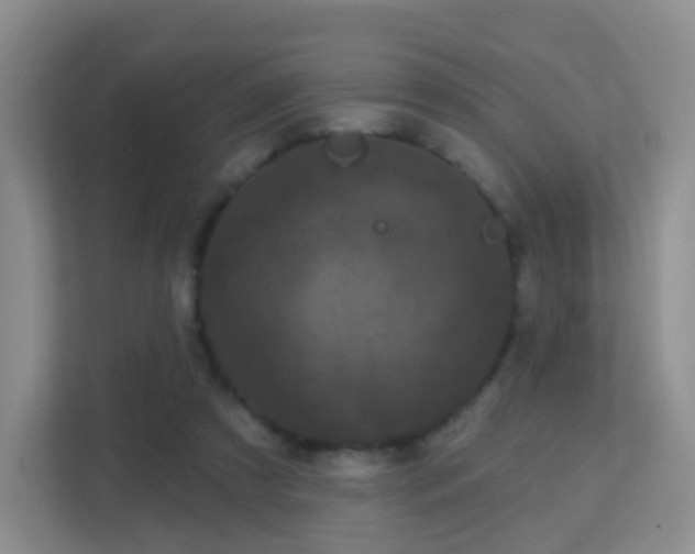 X0000113160305200909111020