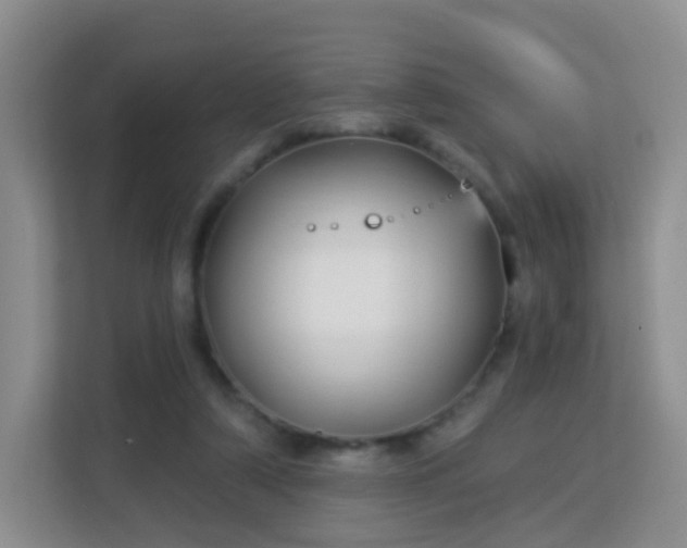 X0000113160306200909111020