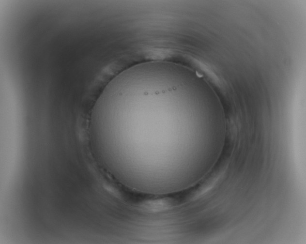 X0000113160307200909111020