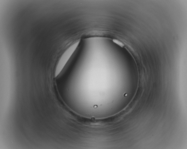 X0000113160309200909111020