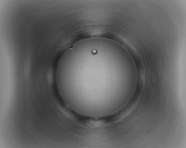 X0000113160311200909111020