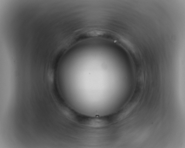 X0000113160315200909111020