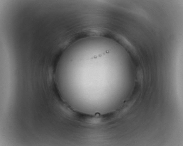 X0000113160318200909111020