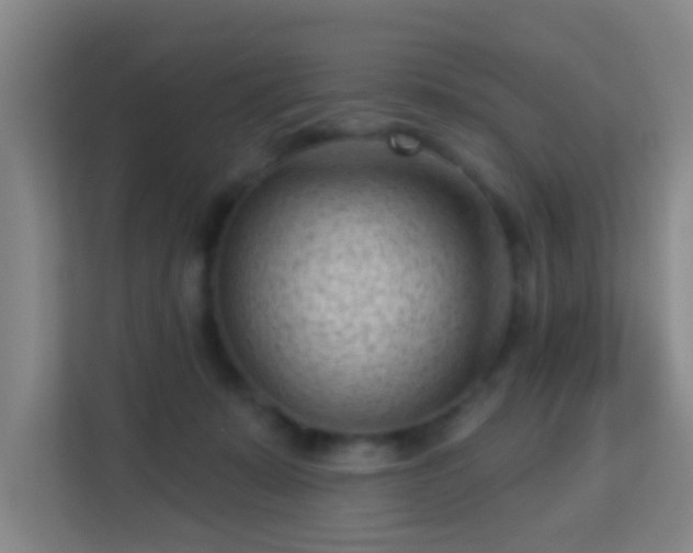 X0000113160319200909111019