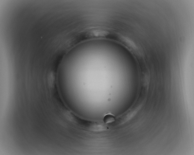 X0000113160321200909111019