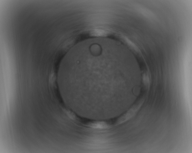 X0000113160322200909111019