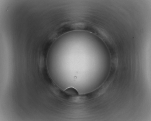 X0000113160323200909111019