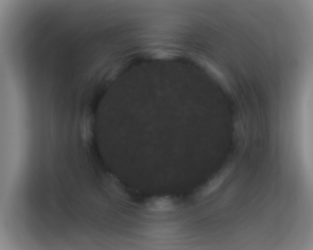 X0000113160325200909111019