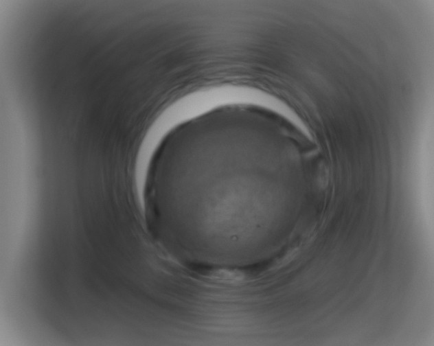 X0000113160328200909111019