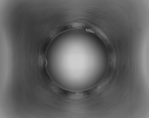 X0000113160329200909111019