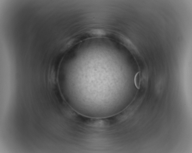 X0000113160330200909111019