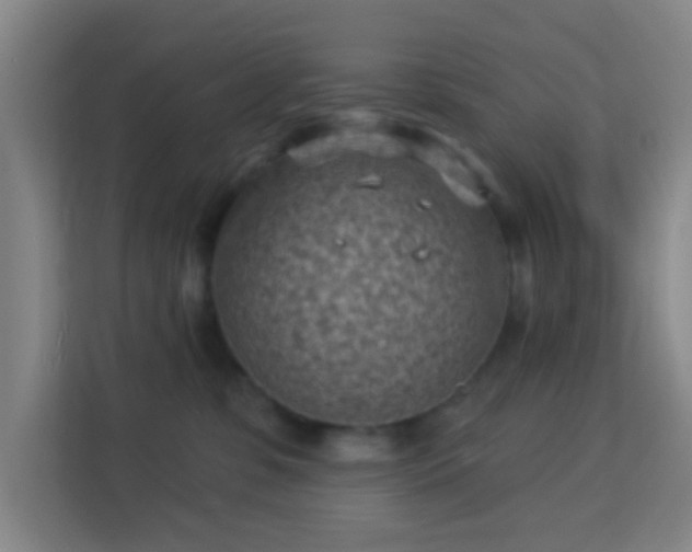 X0000113160331200909111019