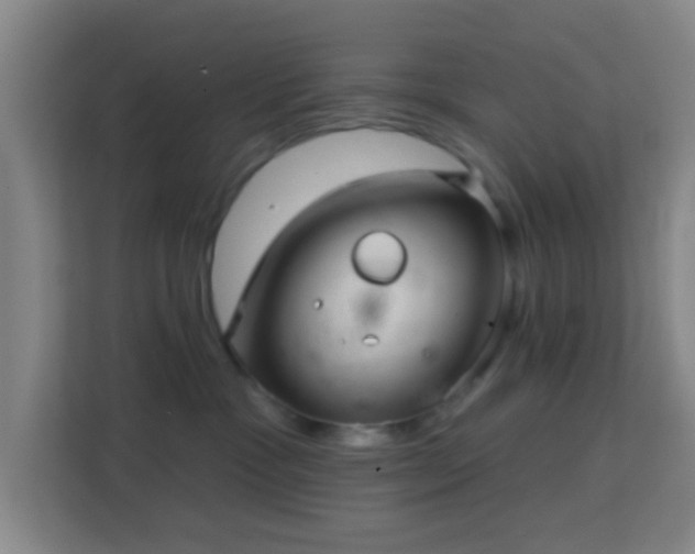 X0000113160333200909111019