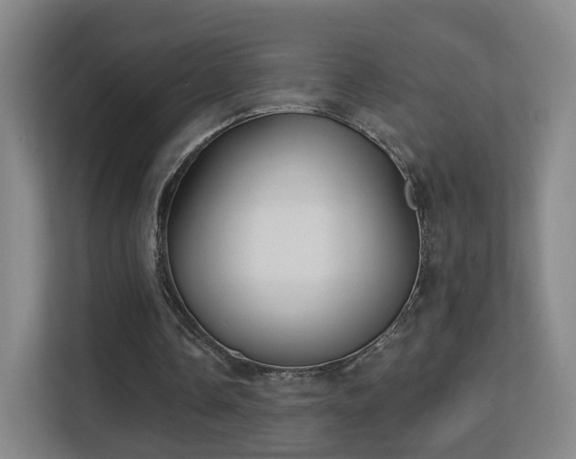 X0000113160338200909111019