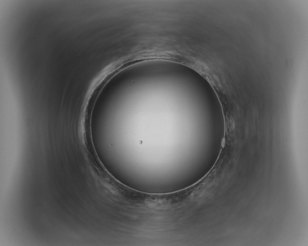 X0000113160340200909111019