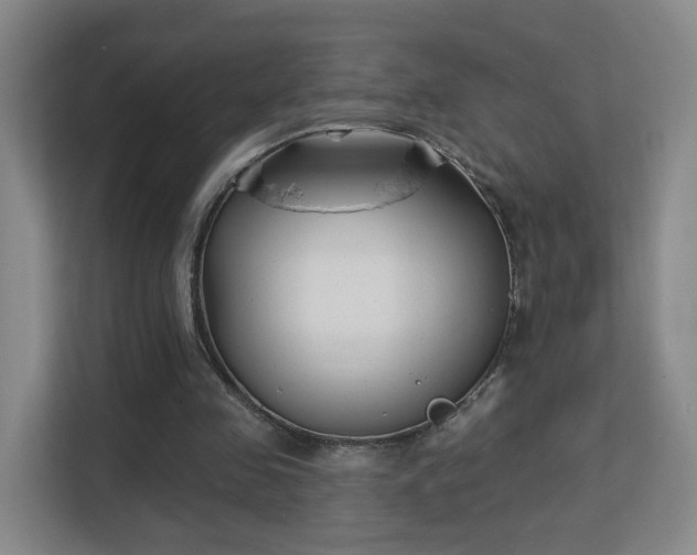 X0000113160341200909111019