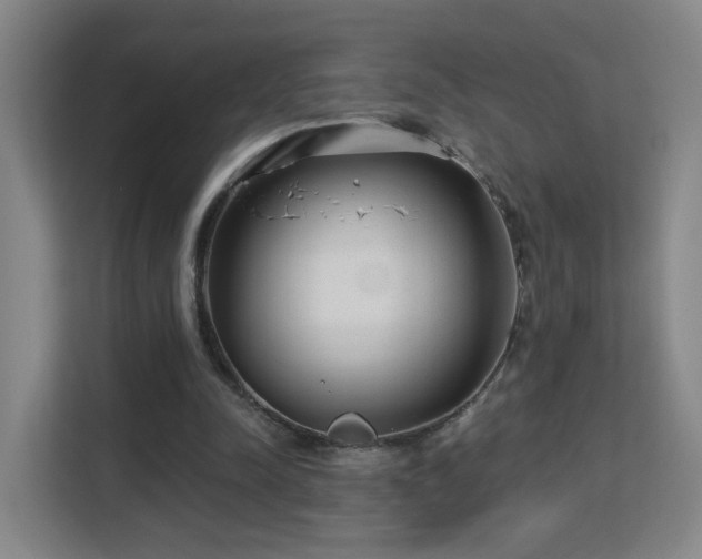 X0000113160342200909111019