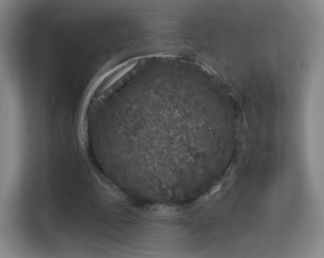 X0000113160343200909111019