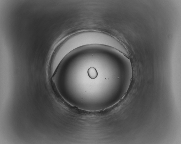 X0000113160344200909111019