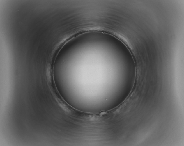 X0000113160345200909111019