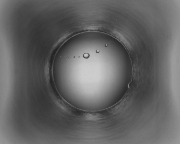 X0000113160346200909111019