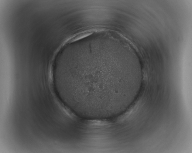 X0000113160347200909111019