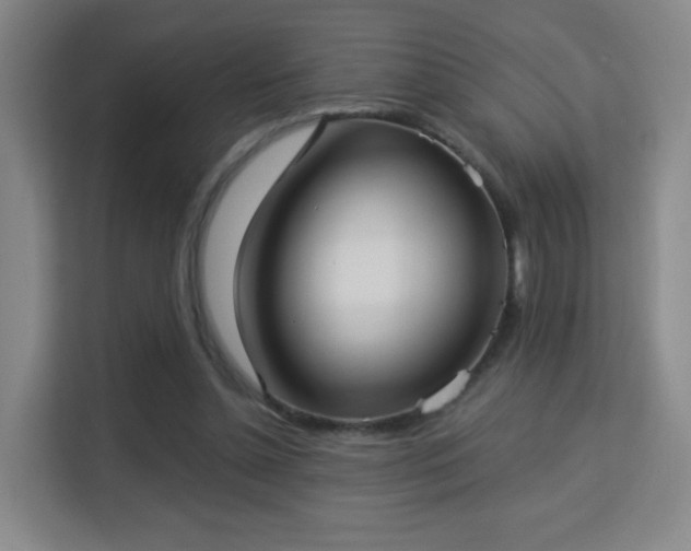 X0000113160348200909111019