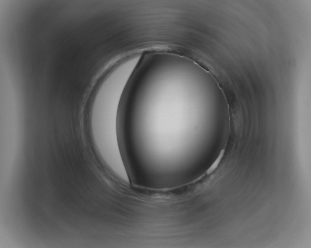 X0000113160350200909111019