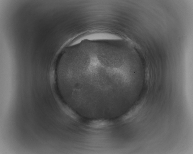 X0000113160351200909111019