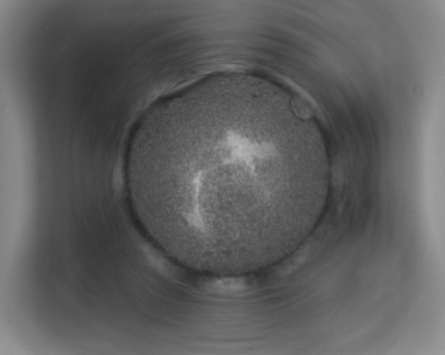 X0000113160353200909111019