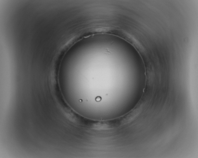 X0000113160354200909111019