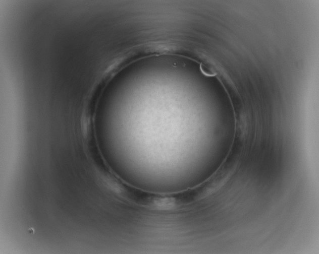 X0000113160355200909111019