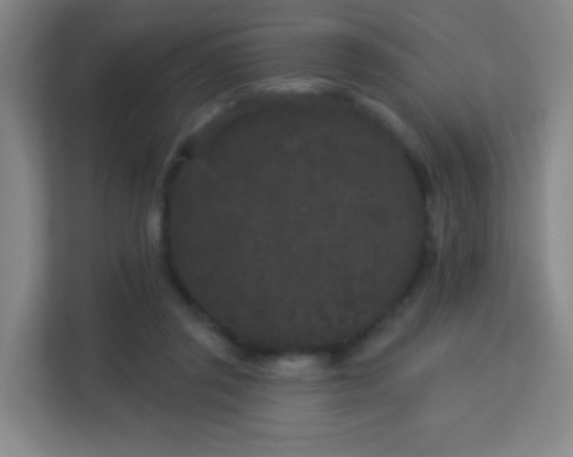 X0000113160357200909111019