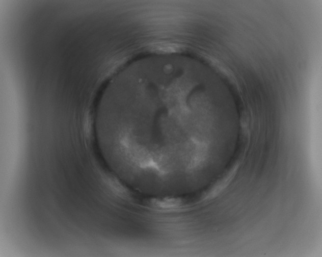 X0000113160359200909111019