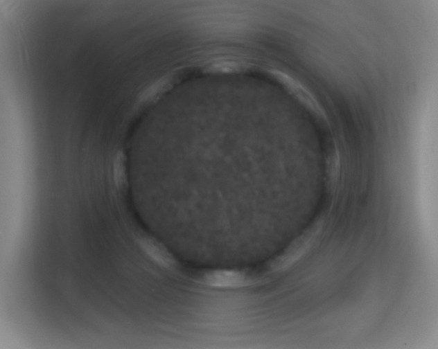 X0000113160361200909111019