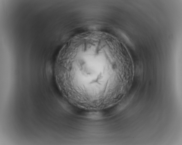 X0000113160363200909111019