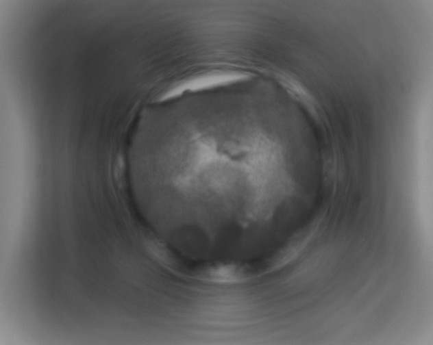 X0000113160365200909111019