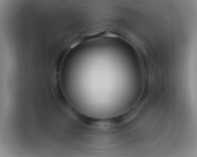 X0000113160366200909111019